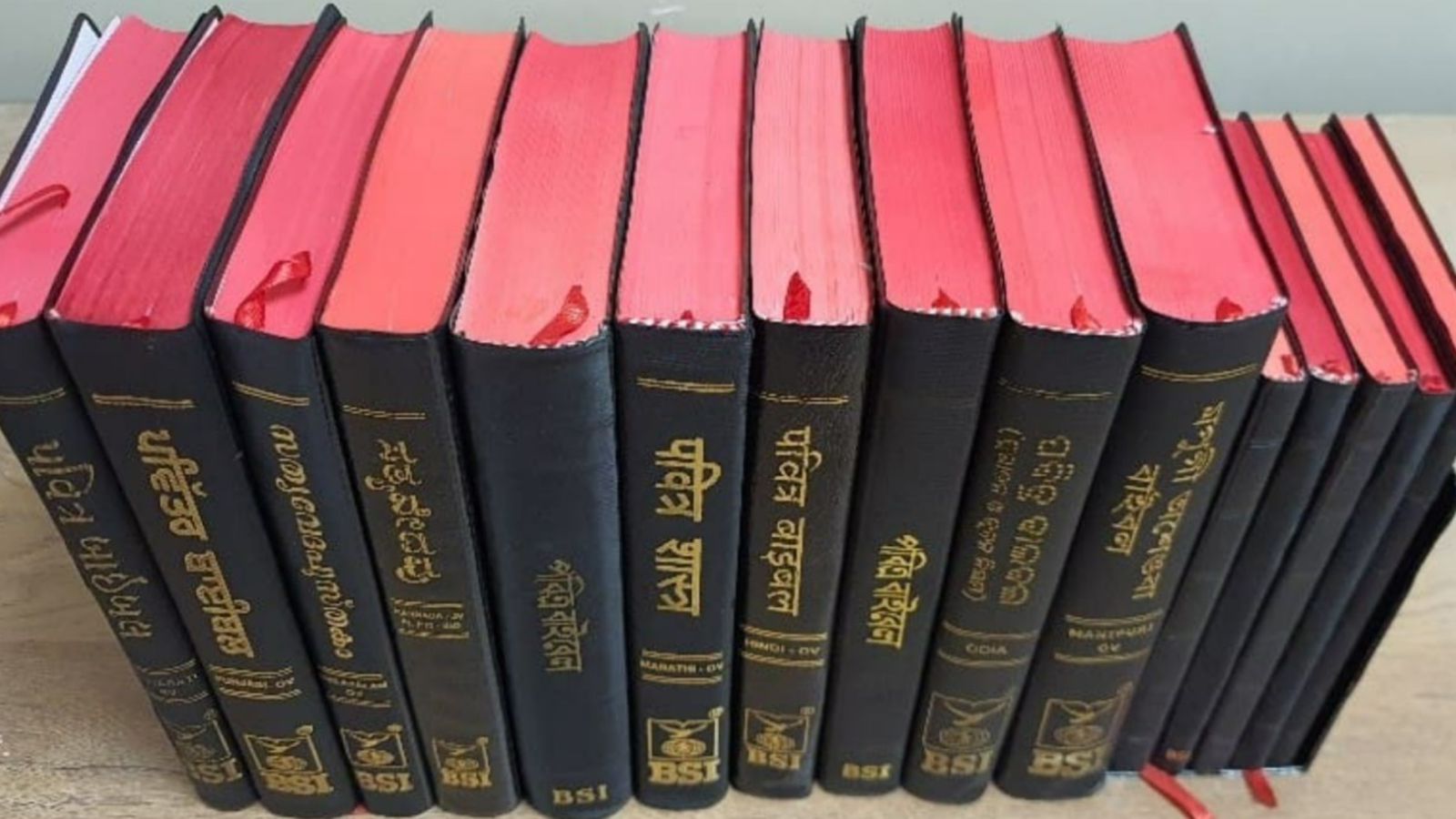 missao-distribui-mais-de-10-mil-biblias-a-cristaos-perseguidos-na-india